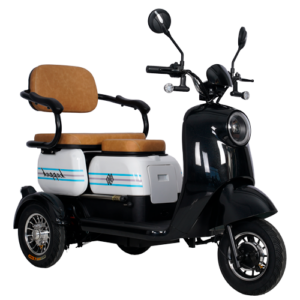 Triciclo-eletrico-adulto-pcd-1000w-k9.png